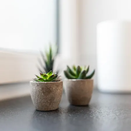 Hozo2-exklusiv Der Roze Living Apartamento