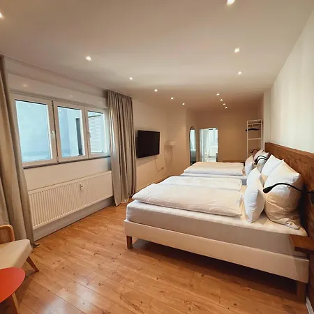 Hozo - Exklusivapartments Der Roze Living Apartment Koblenz (Rhineland-Palatinate)