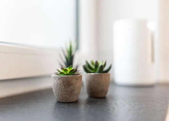 Hozo - Exklusivapartments Der Roze Living Lägenhet